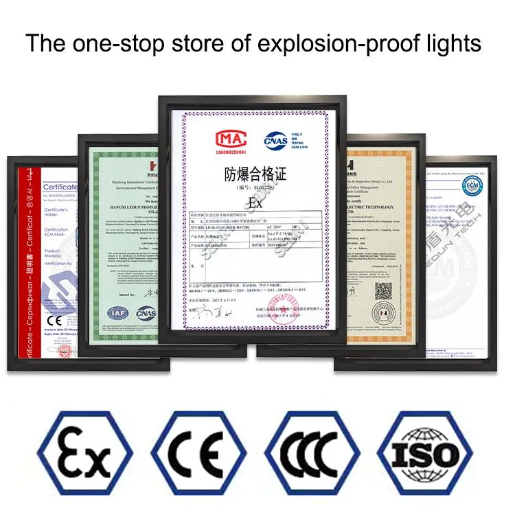 Industrial Ex Proof LED Flood Light Lamp