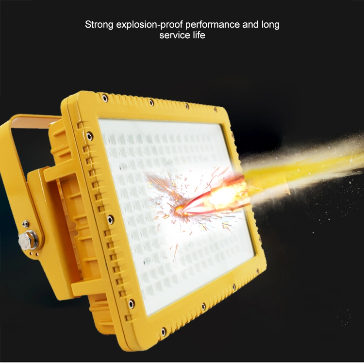 Industrial Ex Proof LED Flood Light Lamp